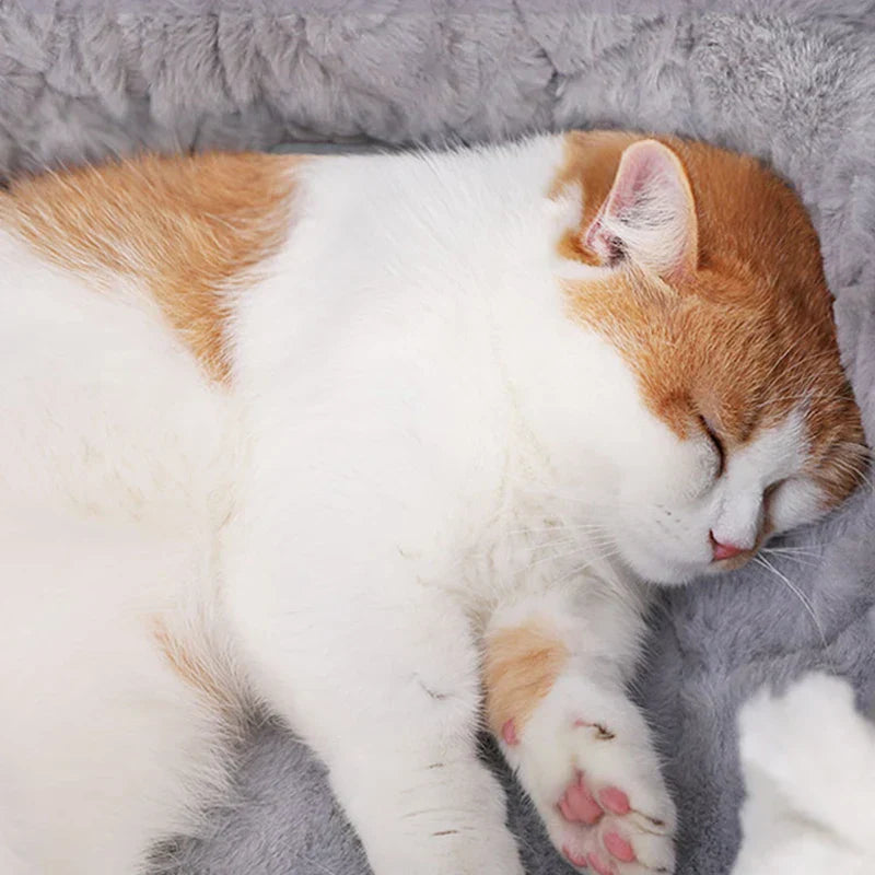 HOOPET Cat Bed House Plush Winter Sleeping Mat