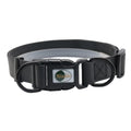 JanPet PVC Waterproof Dog Collar - Easy to Clean, S/M/L