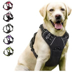 Leather Dog Vest Harness and Accessories Set