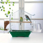 Transparent Acrylic Bird Feeder, Spill-Proof Seed Dispenser for All Birds, Battery-Free, Easy-Clean Outdoor