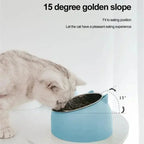 Stainless Steel Cat Dog Bowl 15 Degree Tilted Feeder