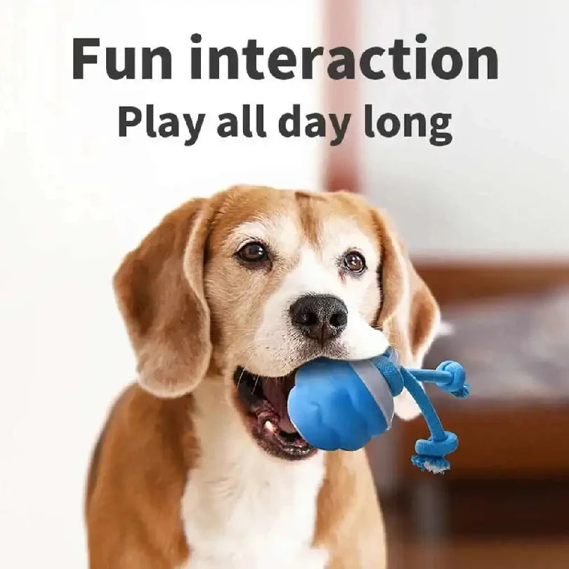 Smart Rolling Dog Ball Toy with Rope - Blue, Interactive