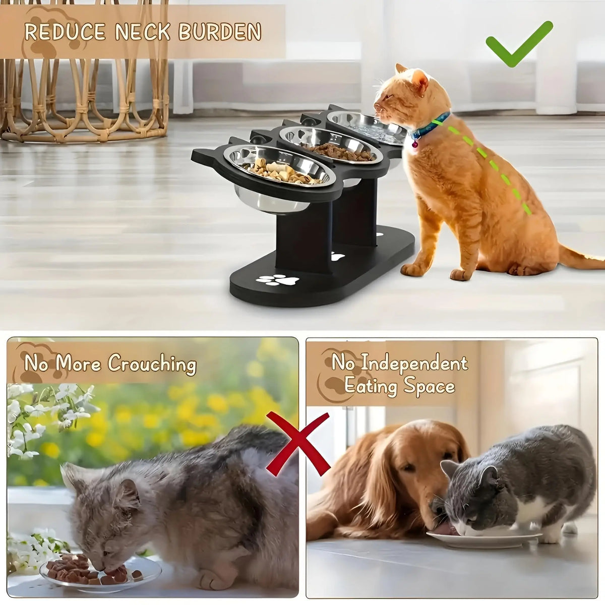 Elevated Cat Bowl with Black Wood Frame & Stainless Steel