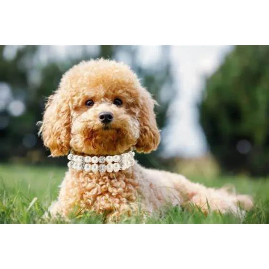 XXS Pearl Dog Collar with Crystal Rhinestones