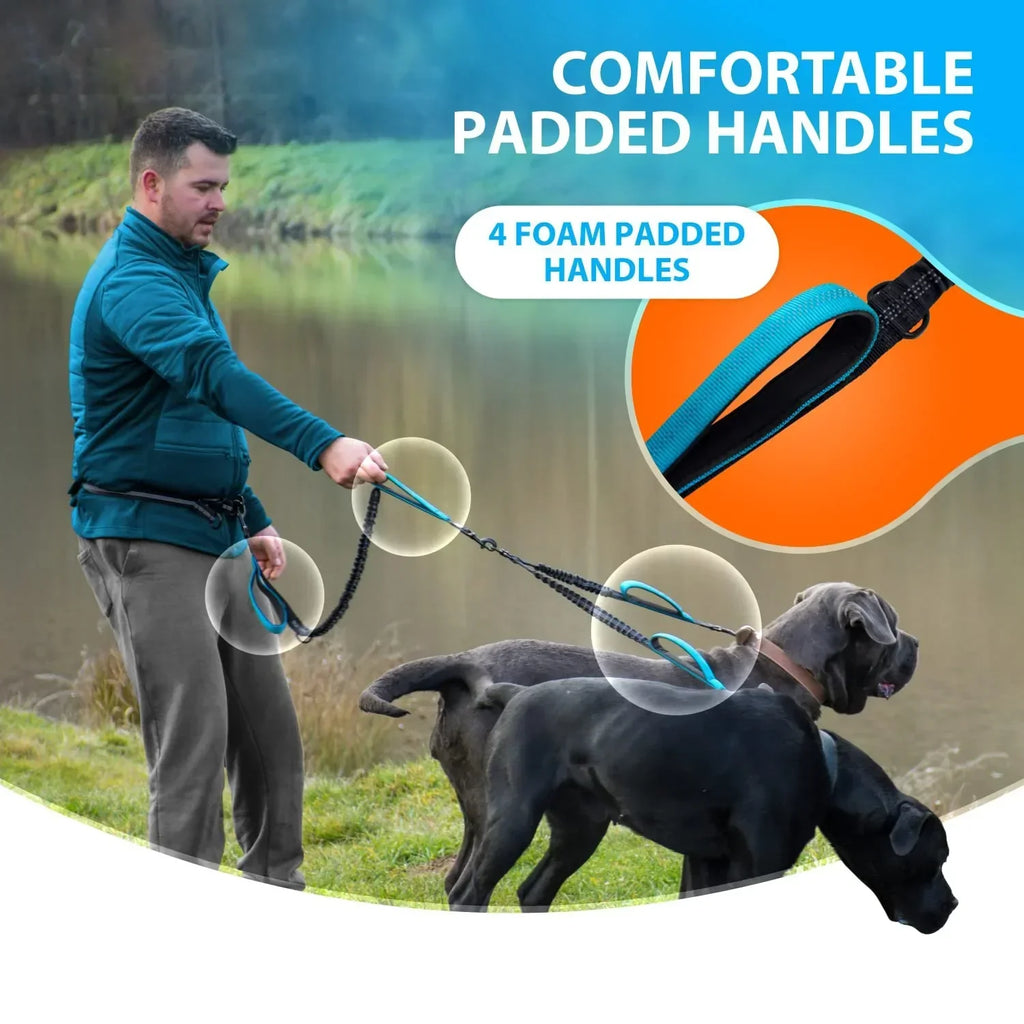 Double Dog Leash for Medium and Large Breeds