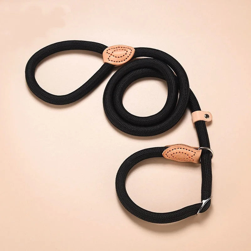 Nylon Adjustable Dog Leash with Collar - All Colors