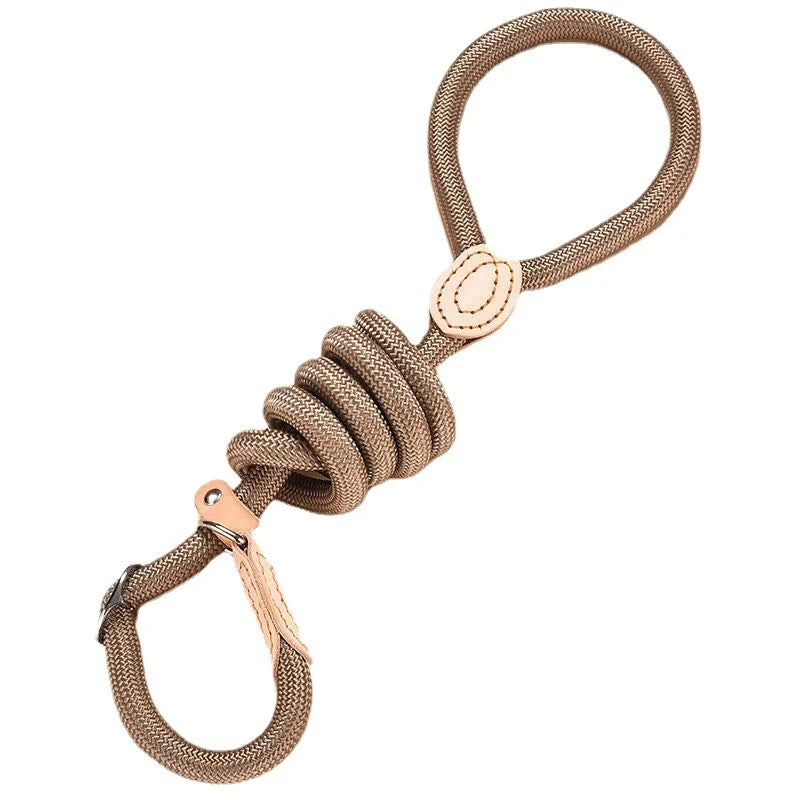 Nylon Adjustable Dog Leash with Collar - All Colors