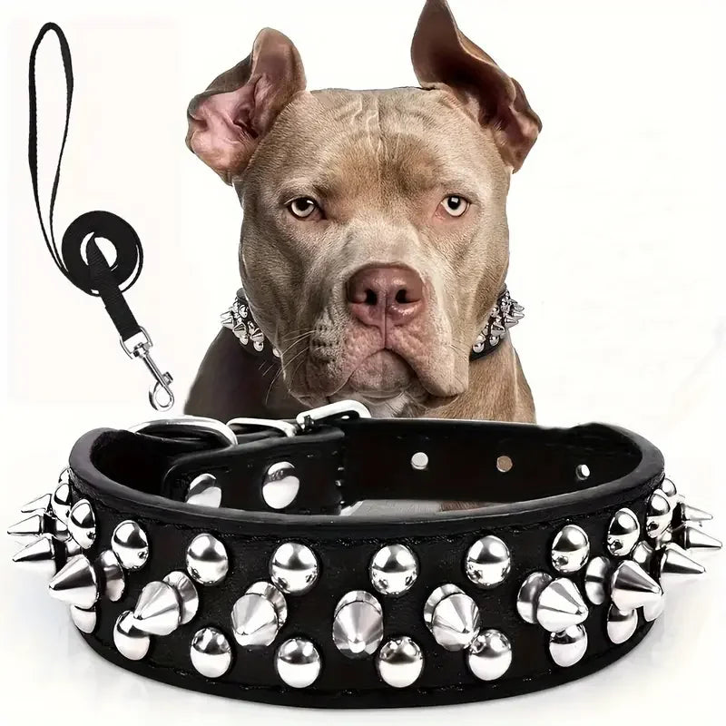 Leather Spiked Dog Collar and Leash Set for Walking