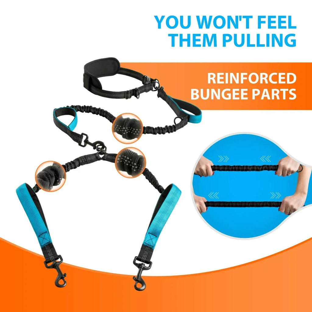 Double Dog Leash for Medium and Large Breeds