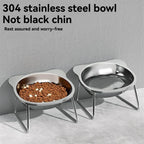 Stainless Steel Slanted Pet Bowl for Cats and Dogs