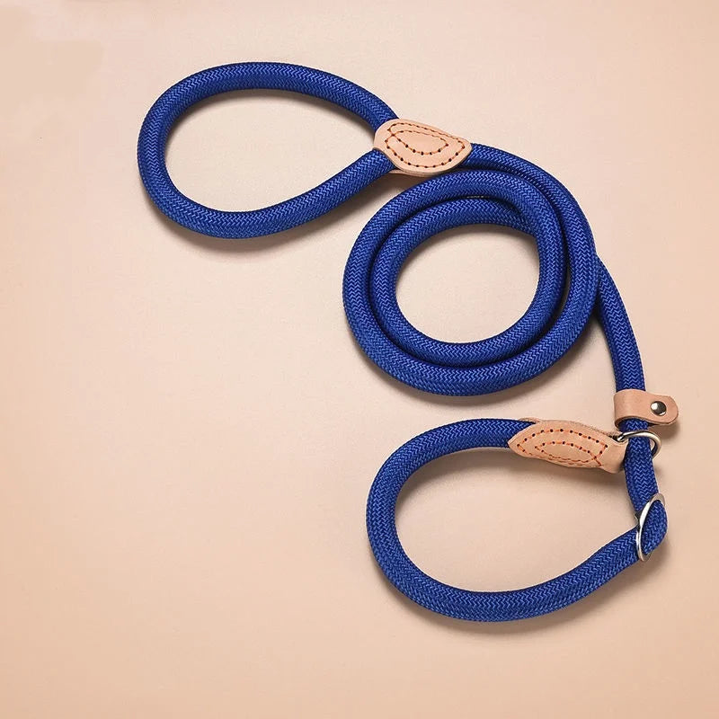 Nylon Adjustable Dog Leash with Collar - All Colors