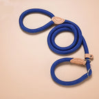 Nylon Adjustable Dog Leash with Collar - All Colors