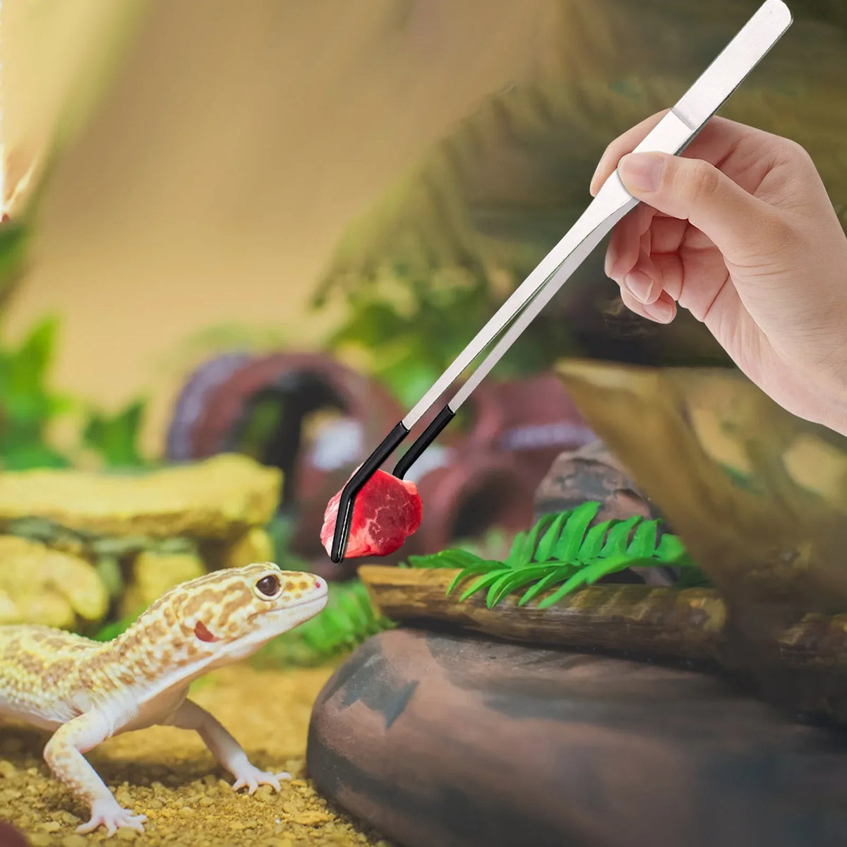 Stainless Steel Reptile Feeding Long Tongs Tweezers For Reptile, Lizards, Spider, Tarantula, Hedgehog, Snake, Aquarium