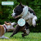 Leather Spiked Dog Collar and Leash Set for Walking