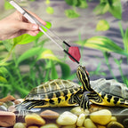 Stainless Steel Reptile Feeding Long Tongs Tweezers For Reptile, Lizards, Spider, Tarantula, Hedgehog, Snake, Aquarium