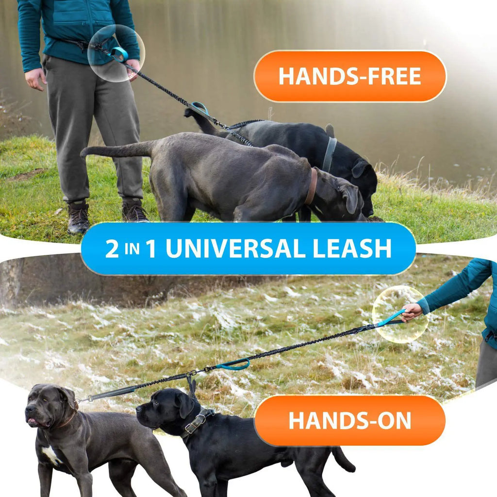 Double Dog Leash for Medium and Large Breeds