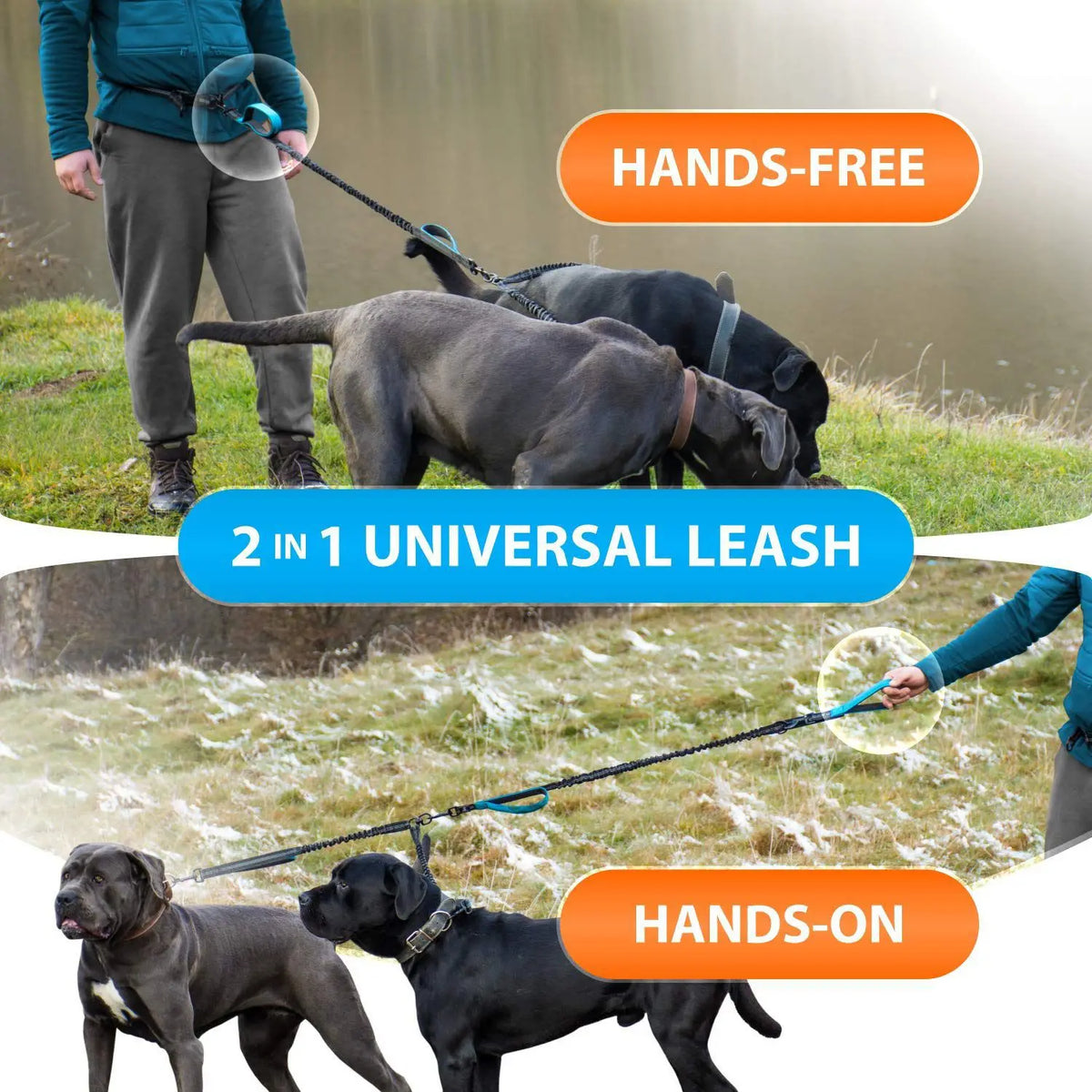 Double Dog Leash for Medium and Large Breeds