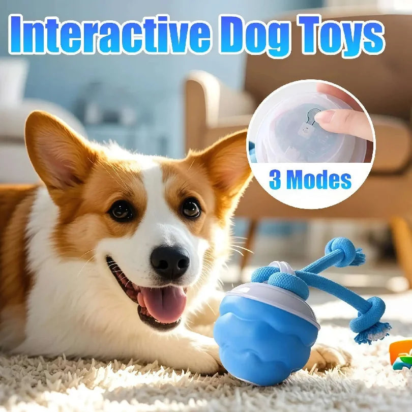 Smart Rolling Dog Ball Toy with Rope - Blue, Interactive