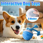 Smart Rolling Dog Ball Toy with Rope - Blue, Interactive