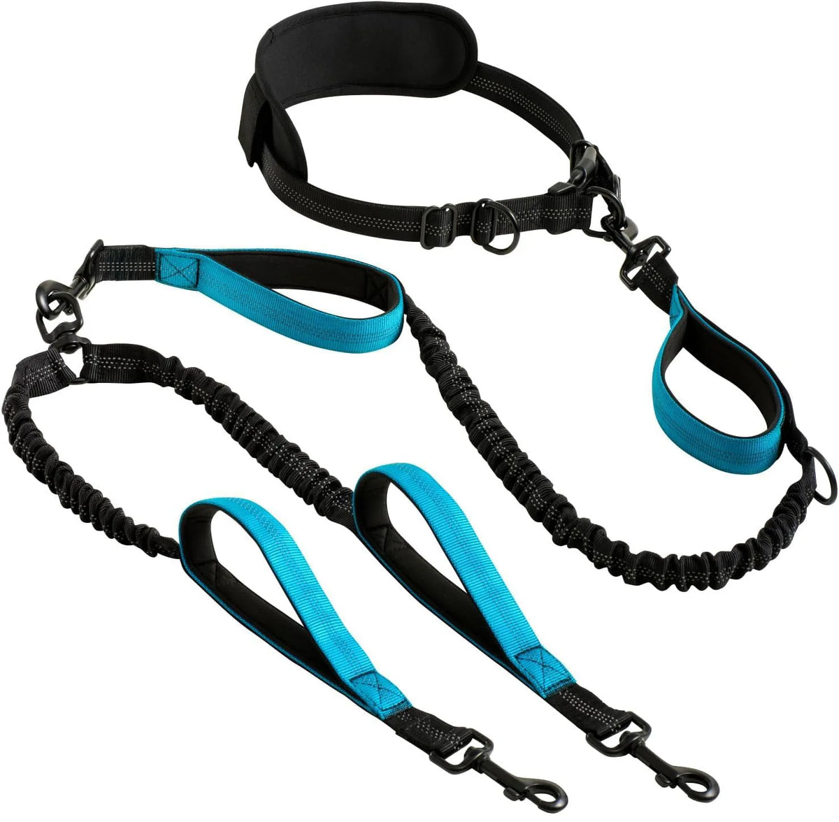 Explosion-Proof Nylon Pet Leash for Dogs - Double Leashes