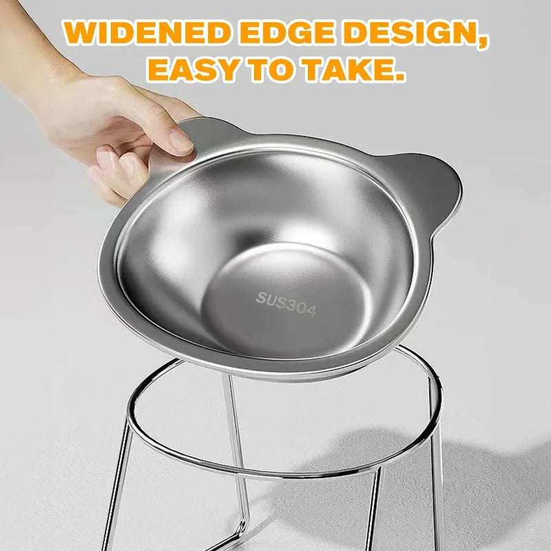 Stainless Steel Slanted Pet Bowl for Cats and Dogs