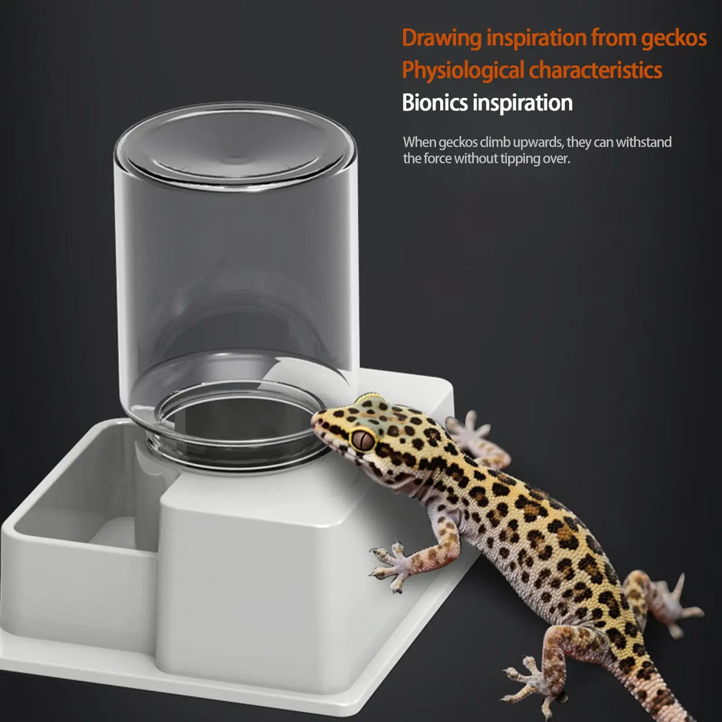 Automatic Reptile Feeder Reptile Automatic Dish Tortoise Water Dish Gecko Drink Dispenser for Lizard Chameleon Snake Frog Hermit