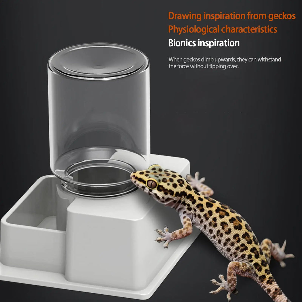 Automatic Reptile Feeder Reptile Automatic Dish Tortoise Water Dish Gecko Drink Dispenser for Lizard Chameleon Snake Frog Hermit