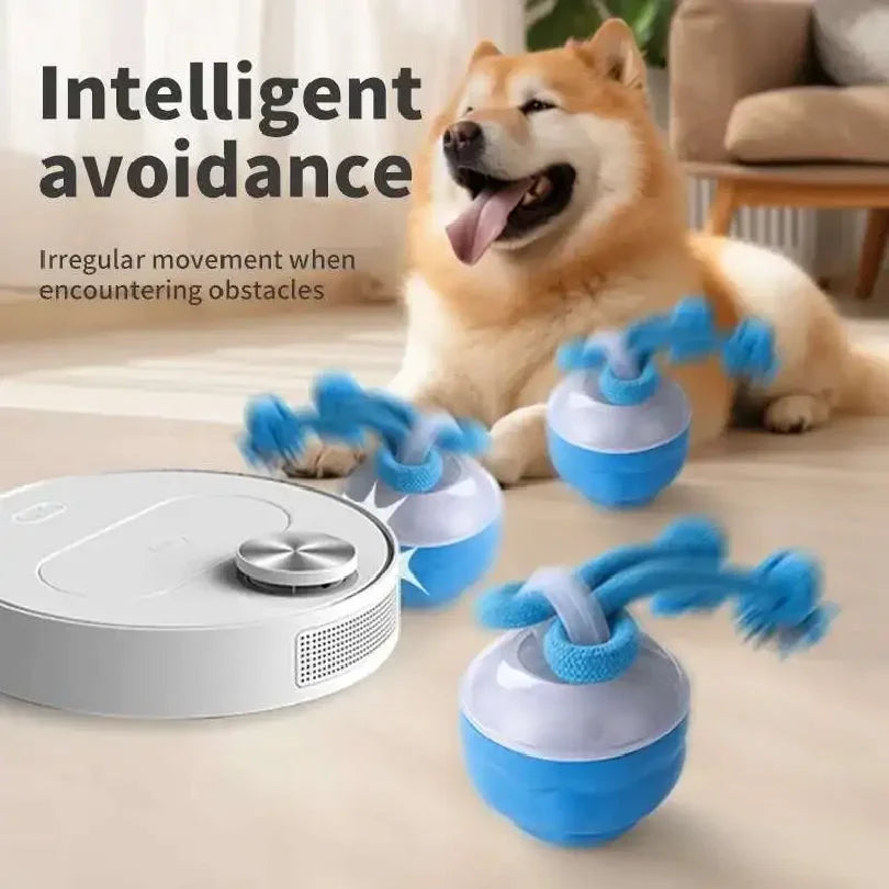 Smart Rolling Dog Ball Toy with Rope - Blue, Interactive