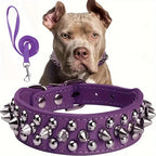 Leather Spiked Dog Collar and Leash Set for Walking