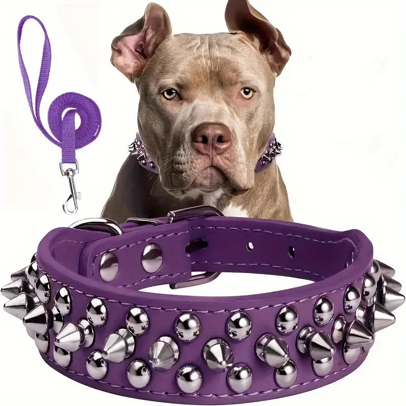 Leather Spiked Dog Collar and Leash Set for Walking