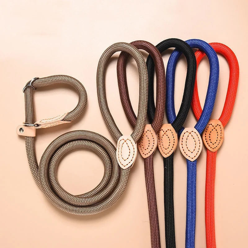 Nylon Adjustable Dog Leash with Collar - All Colors