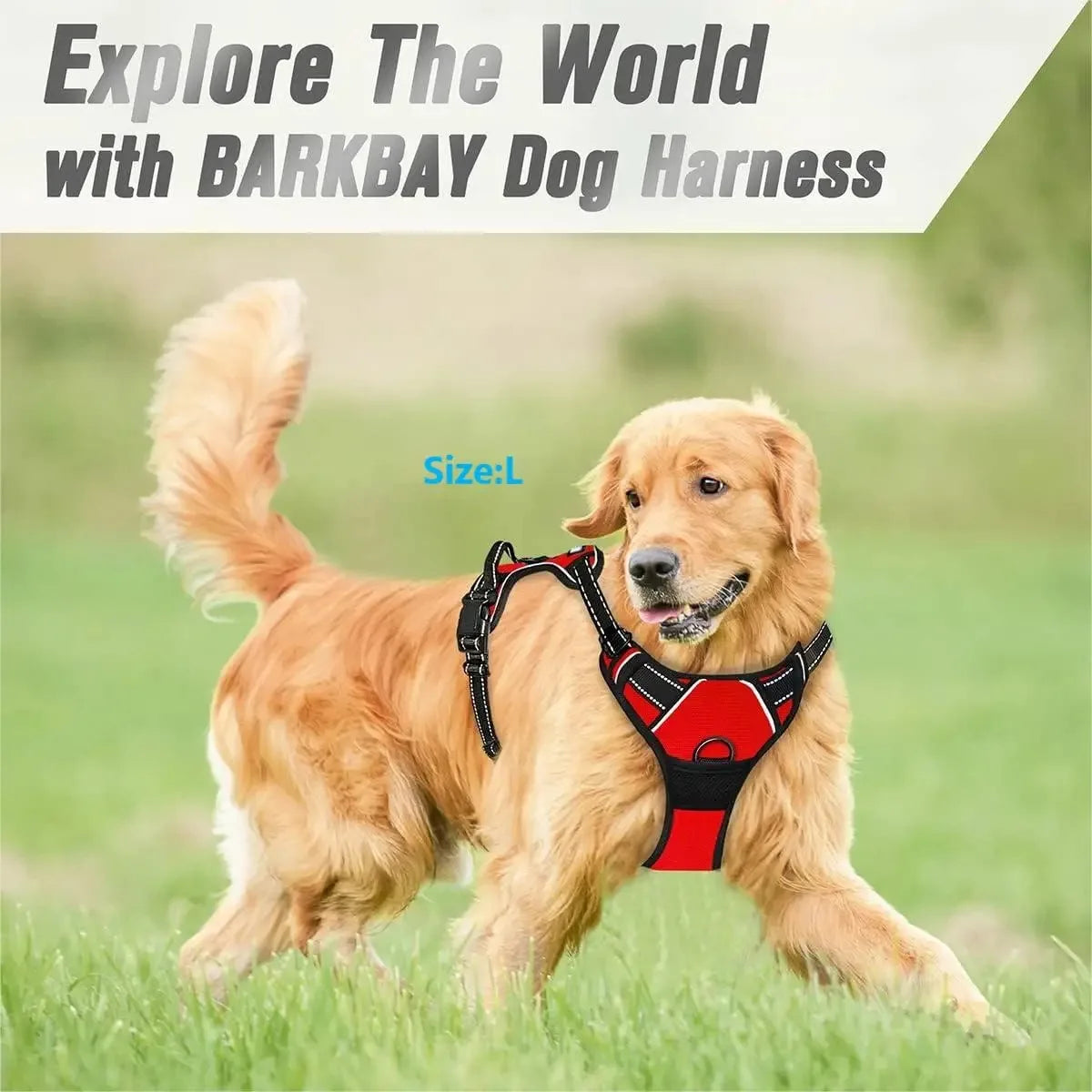 Leather Dog Vest Harness and Accessories Set