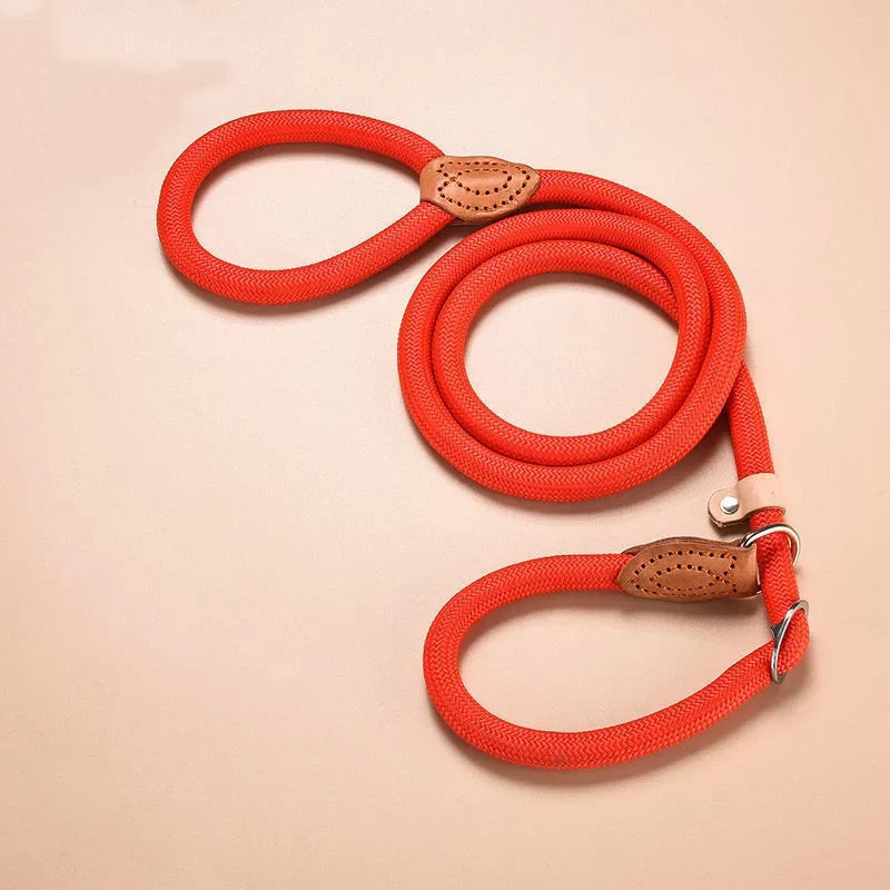 Nylon Adjustable Dog Leash with Collar - All Colors