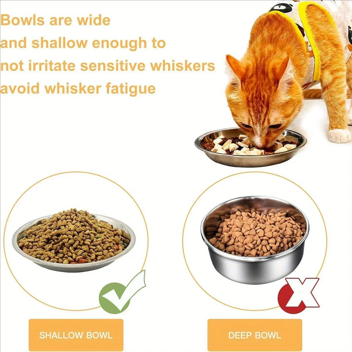 Stainless Steel Cat Food Bowls - Shallow Wide Plates