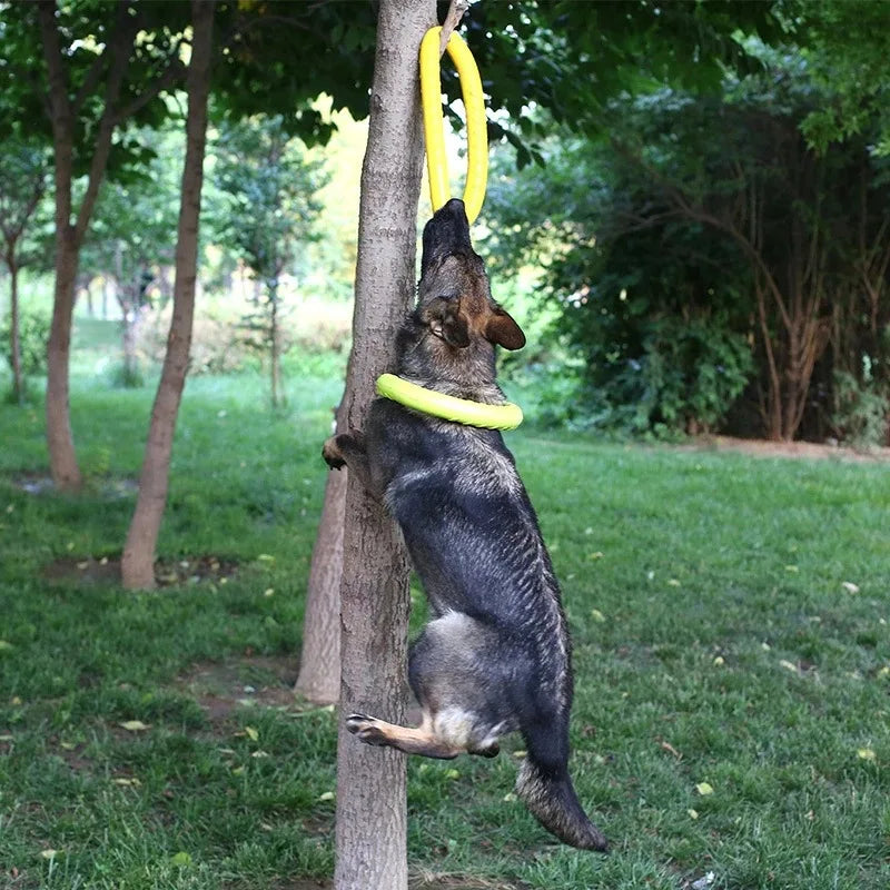 Dog Ring Puller Flying Disk Interactive Toy for Dogs