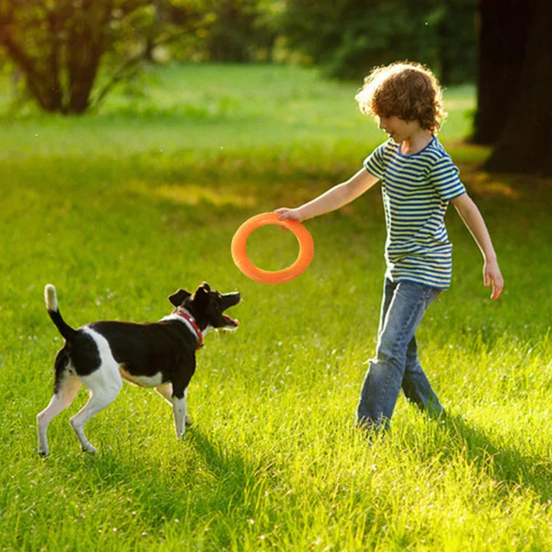 Dog Ring Puller Flying Disk Interactive Toy for Dogs