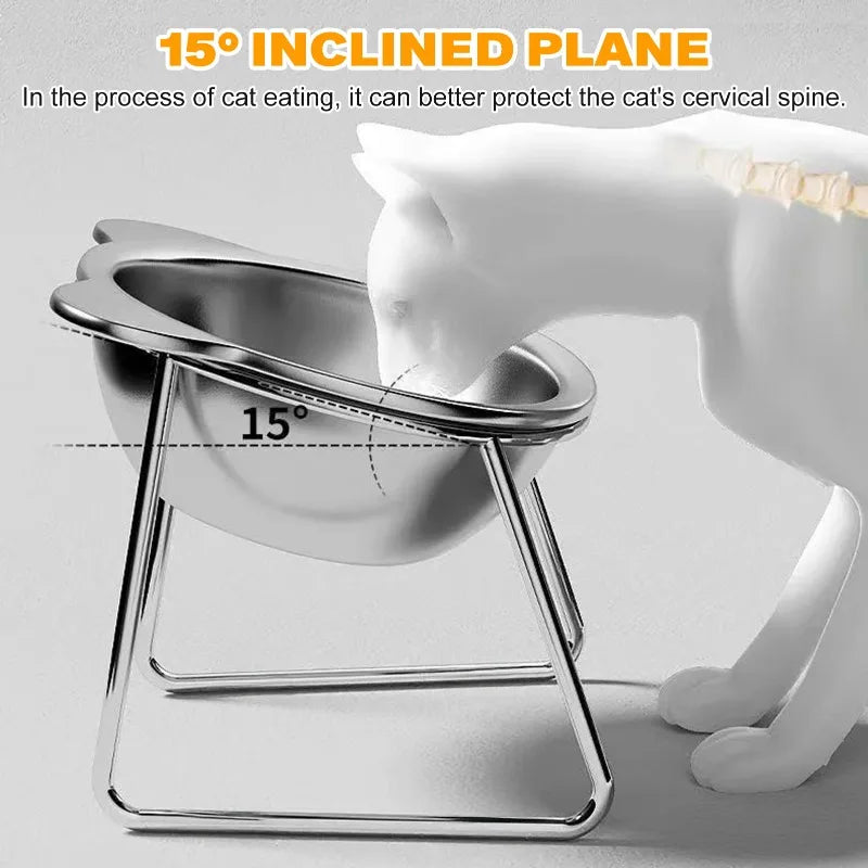 Stainless Steel Slanted Pet Bowl for Cats and Dogs