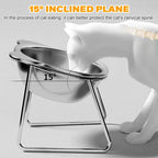 Stainless Steel Slanted Pet Bowl for Cats and Dogs