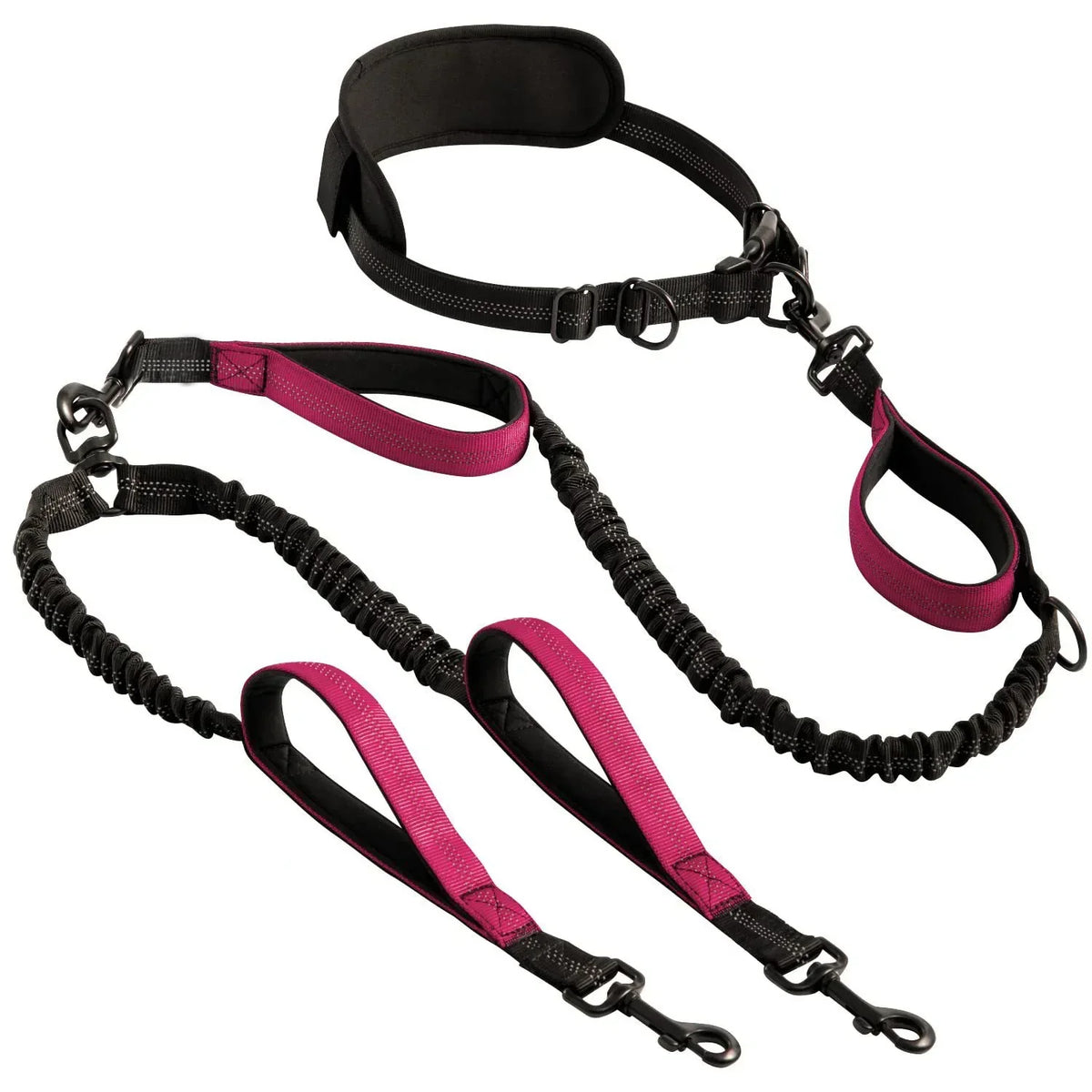 Explosion-Proof Nylon Pet Leash for Dogs - Double Leashes