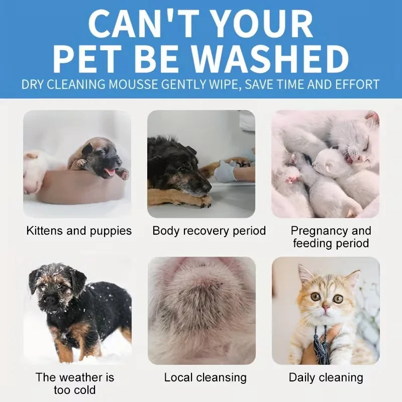 No-Rinse Pet Dry Foam for Cats and Dogs, 100ml