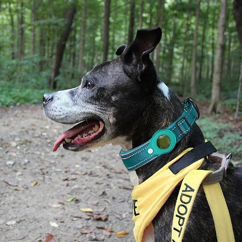 Waterproof Airtag Dog Collar for Large Dogs - Reflective