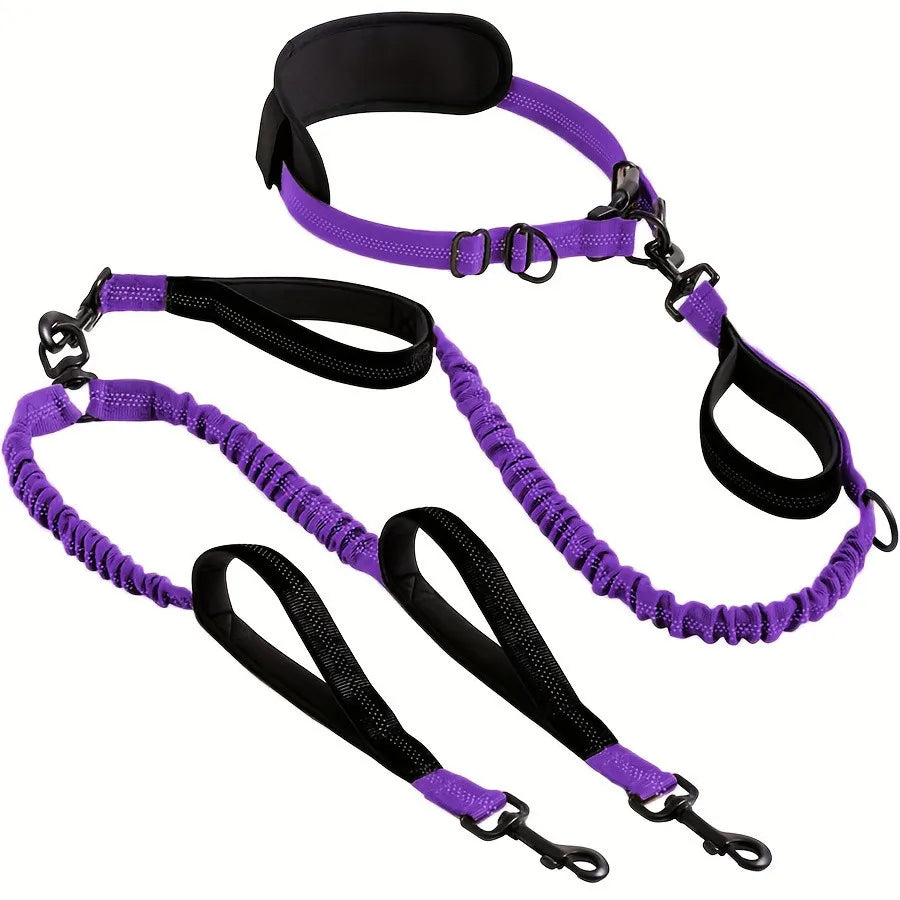 Explosion-Proof Nylon Pet Leash for Dogs - Double Leashes