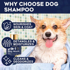 Pet Shampoo for Cats and Dogs - 200ml Odor Removal