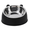 Stainless Steel Cat Dog Bowl 15 Degree Tilted Feeder