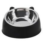 Stainless Steel Cat Dog Bowl 15 Degree Tilted Feeder