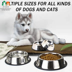Stainless Steel Dog Cat Bowls - Non-Slip Feeder Set