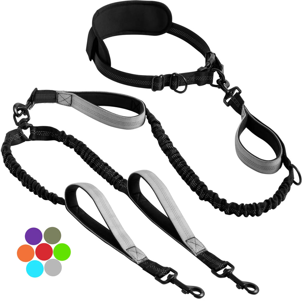 Explosion-Proof Nylon Pet Leash for Dogs - Double Leashes