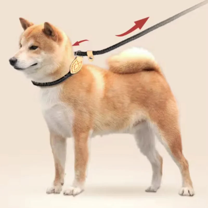 Nylon Adjustable Dog Leash with Collar - All Colors