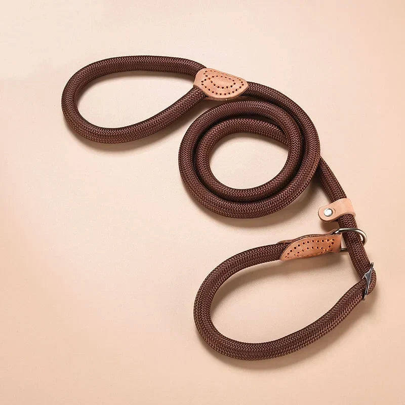 Nylon Adjustable Dog Leash with Collar - All Colors