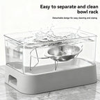 Stainless Steel Slanted Pet Bowl for Cats and Dogs